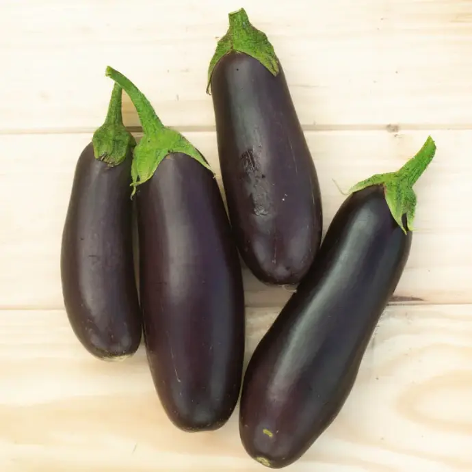 Aubergine Diamond