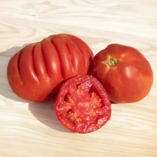 Tomate rouge cœur de Bœuf de Nice (mi-saison)