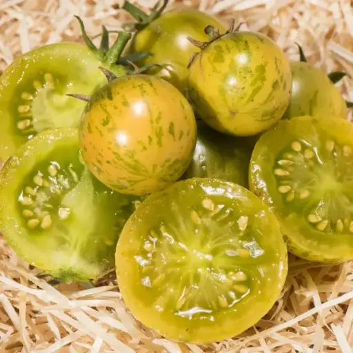 Tomate cerise verte Abracazebra (mi-saison)