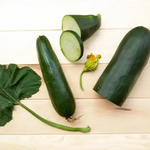 Courgette verte de Milan / Black Beauty