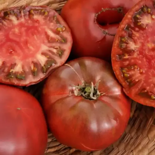 Tomates noires de Crimées (mi-saison)